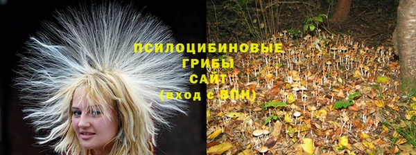 ешки Балахна