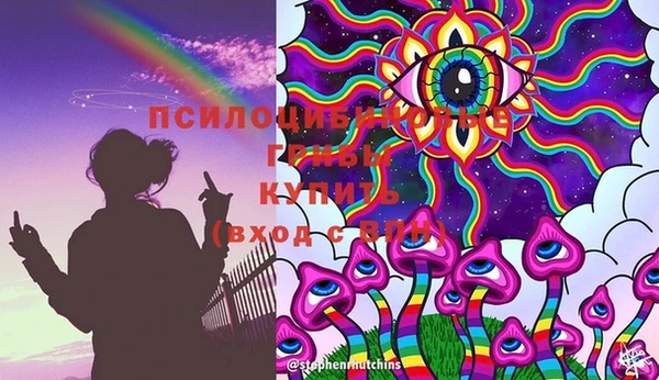 apvp Балабаново